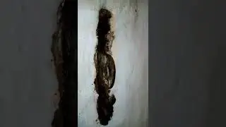 (18+)Это не опасно 🔥🔥🔥