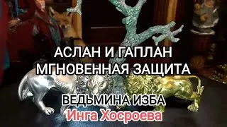 АСЛАН И ГАПЛАН МГНОВЕННАЯ ЗАЩИТА. ДЛЯ ВСЕХ. ВЕДЬМИНА ИЗБА 📹 ИНГА ХОСРОЕВА