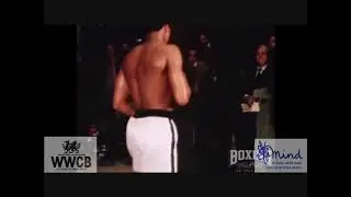 Welsh White Collar Boxing (WWCB) Promo