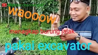 Cara mudah menangkap burung jalak pakai excavator