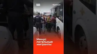 Охота на мигрантов