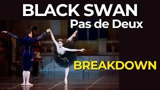 Black Swan Pas de Deux - Former NYC Ballet Soloist Breaks Down My Performance (Odile Variation)
