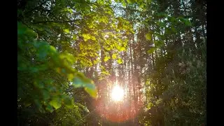 База отдыха 