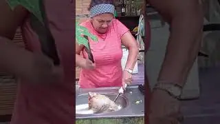 Conheça a vida no interior do Pará