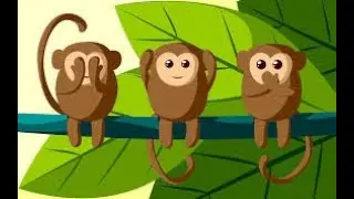 Python Practice Series 25 | Beginners | Level 1 | Basic | Monkey Talks | Programming tutorials Code
