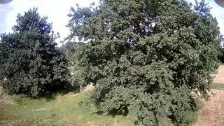HS120d DRON film nad Odra