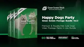 Dogs Party – Green Screen Footage Bundle Vol.3 #greenscreen #chromakey