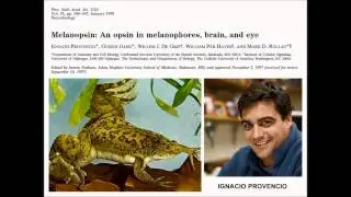 Light and Time: The discovery of a 3rd Photoreceptor system within the eye