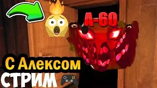 ▶Прошли 1000 дверей в игре Doors!!!{Стрим}Roblox▶