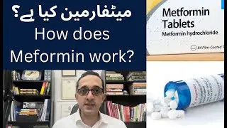 What is Metformin Medicine? | Metformin medication kaisay kam karti ha?