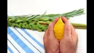 Проповедь 