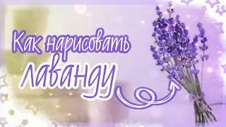 Как красиво нарисовать лаванду || 🌿💜🌿