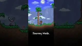 Which Terraria Mode Is Actually The Most Fun? 