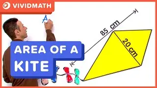 Area of a Kite - VividMath.com