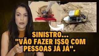 barata e autocontrole