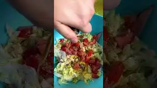 Trying out this VIRAL tiktok Sandwich! (Chopped Italian sub)