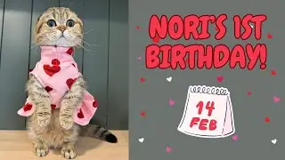 NORI'S BIRTHDAY IS ON VALENTINE'S DAY!