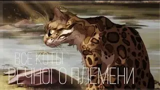 Коты Воители - ВСЕ коты Речного племени [2 ЧАСТЬ]