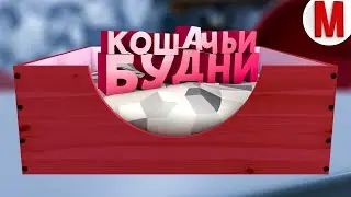 #18 Делаем превью Мармока 