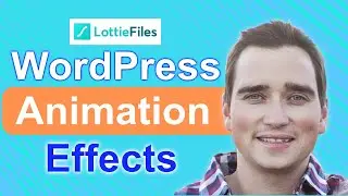 WordPress Animation Effects