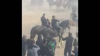 бузкаши истаравшан хужанд сугд  рахимберди бо аспи мачо 07 11 2021