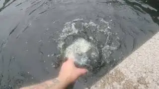 Unboxing and Testing the Hygger HG105 3500lph Vari Flow pump on Mine n Daves Pond 