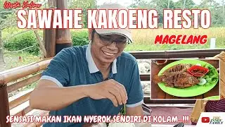 SAWAH KAKOENG RESTO MAGELANG, SENSASI MAKAN IKAN NYEROK SENDIRI DI KOLAM...!!! | WISATA KULINER