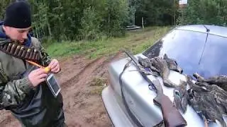 Охота на утку 2019. Duck hunting