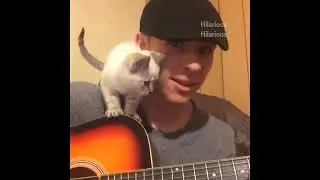 One of the Best Collection (Cute Animals & Pets)