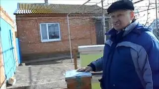 Нужны ли 6 рамочные нуклеусы из эппс?