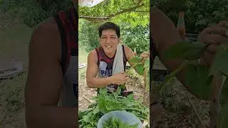 Dishkarteng bulanglang #pagkaingbukid #outdoorcooking #filipinofood #pagkaingpinoy #filipinocooking