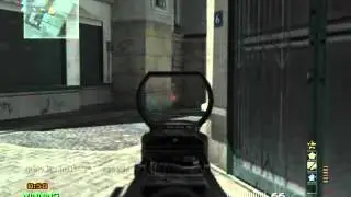 MW3 MoAb type-95