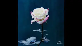 JIM - Graceful (Full EP) [2022]
