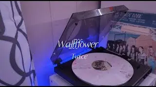 Twice (트와이스) - Wallflower [ Vinyl ]
