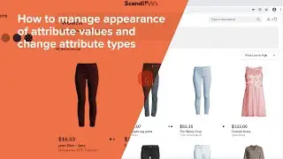 How to manage the appearance of ATTRIBUTE VALUES and change attribute types in ScandiPWA
