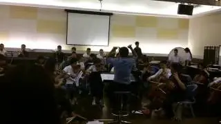 Butter-fly - Orchestra Arrangement