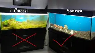 500 LT AKVARYUM KURUYORUM ( YENİ AKVARYUM ALDIM)