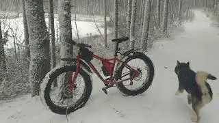 ФЭТБАЙК Stels Aggressor (2020) в стоке, на резине Vee Tire Snow Avalanche 26x4.8