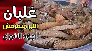 الاختيار الأصعب مابين افضل انواع الأسماك والمأكولات البحرية بسوق الانصاري بالسويس