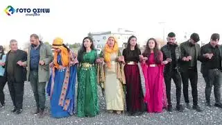 Koma Welat Eşira Menda Gunde Beşo Daweta bawer & Nazdar Ramazan Koyuncu Ez Berfım Foto Özlem