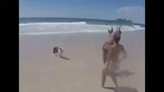 Futbolcu Köpek-Şaka Yapıyorsun