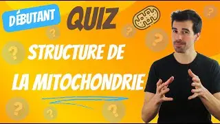 QUIZ -mitochondrie- Débutant