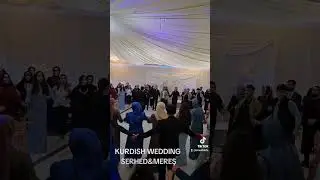 çepki halay #keşfet #keşfet #halay #düğün #wedding #kurdishmusic