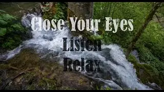 Forest Mix, Relaxing Nature Sound, Meditation.