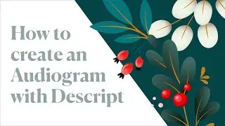 How to create an Audiogram in Descript