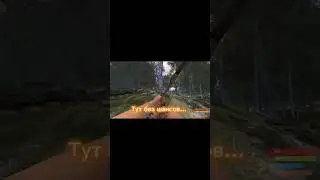 Тут было без шансов. 