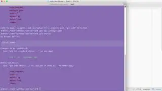 Web Servers and Application Deployment: Adding Version Control Git