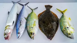 EXPEN$IVE vs TRASH Fish Taste Test *Catch Clean Cook* (Ladyfish Fritters)