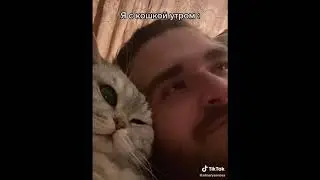 Будешь драники со сметаной?)