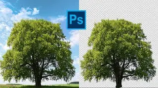 How to Remove Tree's Background in Adobe Photoshop । Graphics Design